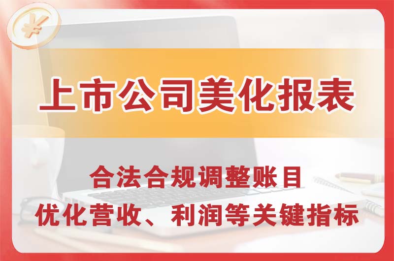 凌海上市公司美化报表